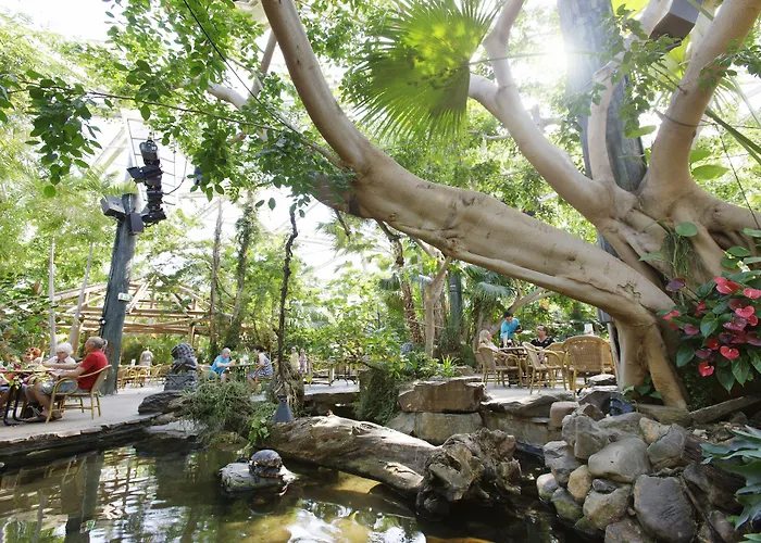 Center Parcs De Kempervennen Eindhoven Kompleks wypoczynkowy Westerhoven