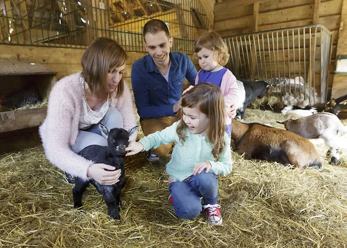 Center Parcs De Kempervennen Eindhoven