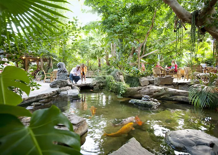 Center Parcs De Kempervennen Eindhoven