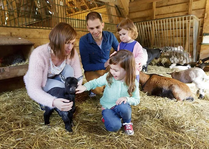 Center Parcs De Kempervennen Eindhoven Westerhoven