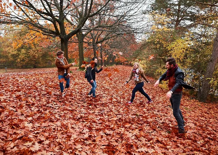 Center Parcs De Kempervennen Eindhoven Westerhoven