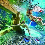 Center Parcs De Kempervennen Eindhoven 3* Westerhoven