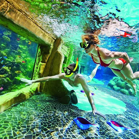 Center Parcs De Kempervennen Eindhoven 3* Westerhoven