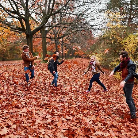 Center Parcs De Kempervennen Eindhoven Westerhoven